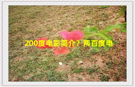 200度电影简介？两百度电