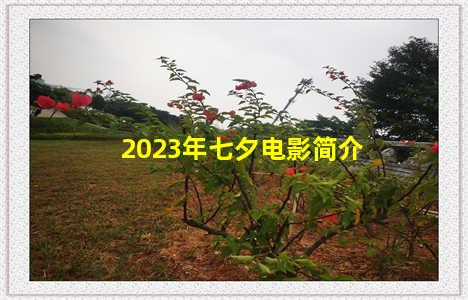 2023年七夕电影简介