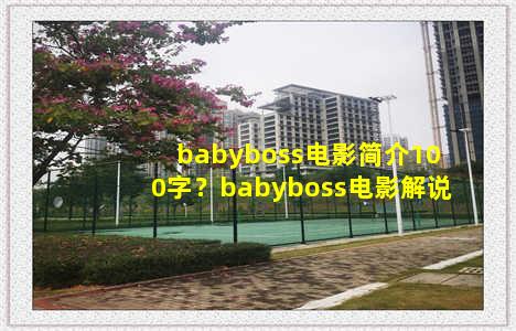 babyboss电影简介100字？babyboss电影解说