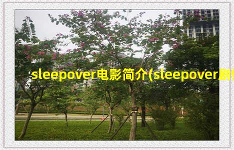 sleepover电影简介(sleepover剧情)