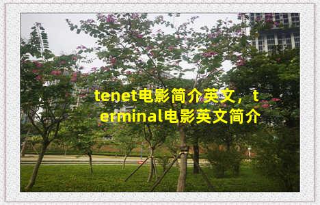 tenet电影简介英文，terminal电影英文简介