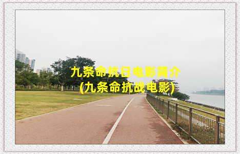 九条命抗日电影简介(九条命抗战电影)