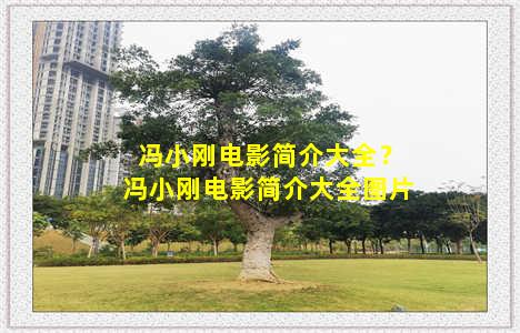 冯小刚电影简介大全？冯小刚电影简介大全图片