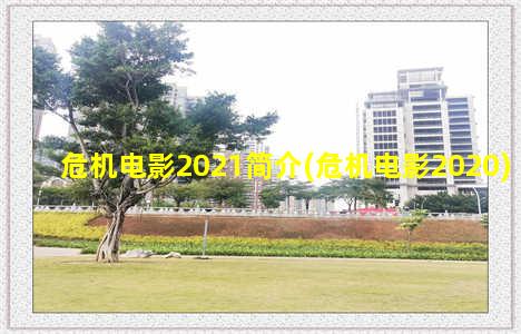 危机电影2021简介(危机电影2020)