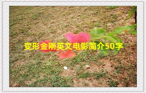 变形金刚英文电影简介50字