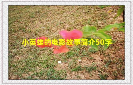 小英雄的电影故事简介50字