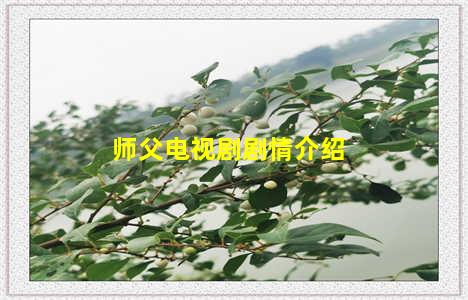 师父电视剧剧情介绍