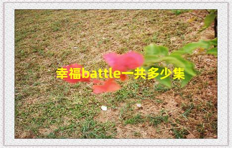 幸福battle一共多少集