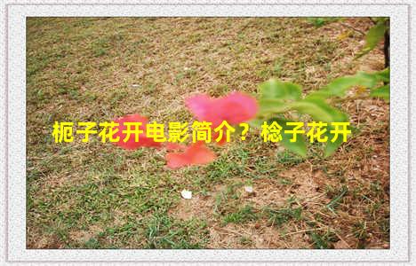 枙子花开电影简介？棯子花开