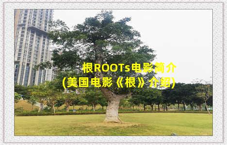 根ROOTs电影简介(美国电影《根》介绍)