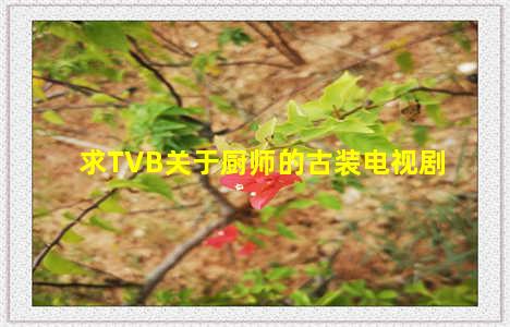 求TVB关于厨师的古装电视剧