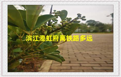 滨江澄虹府离铁路多远