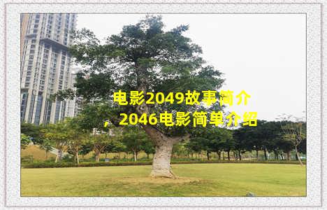 电影2049故事简介，2046电影简单介绍