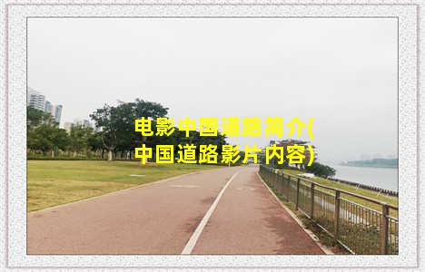 电影中国道路简介(中国道路影片内容)