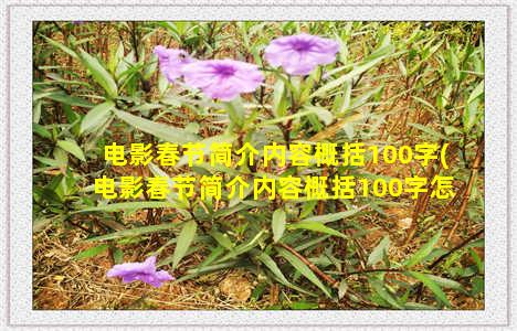 电影春节简介内容概括100字(电影春节简介内容概括100字怎么写)