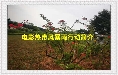 电影热带风暴雨行动简介