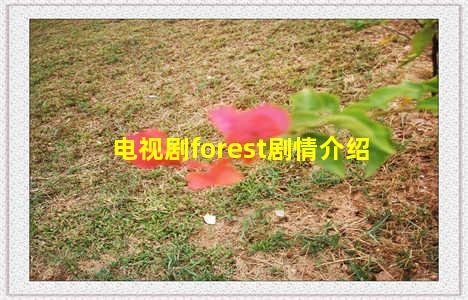 电视剧forest剧情介绍