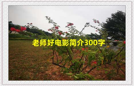 老师好电影简介300字