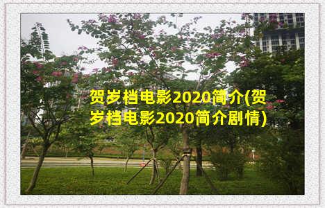 贺岁档电影2020简介(贺岁档电影2020简介剧情)