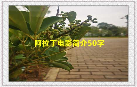 阿拉丁电影简介50字