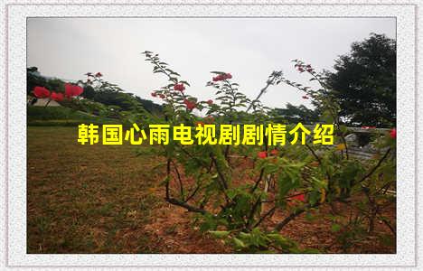 韩国心雨电视剧剧情介绍