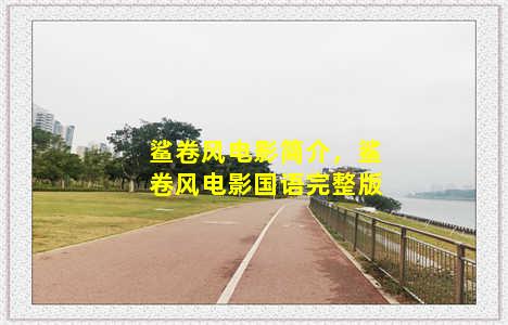 鲨卷风电影简介，鲨卷风电影国语完整版